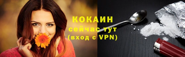 соль ск Алзамай