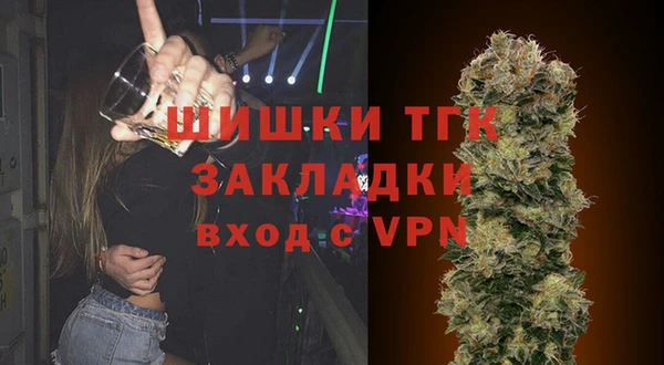 соль ск Алзамай